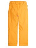 Vignette Picture, Time pantalon de ski enfants Autumn Blaze jaune 