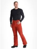 Vignette Protest, PRTMIKADO pantalon de ski hommes Barn Red rouge 