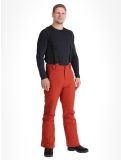 Vignette Protest, PRTMIKADO pantalon de ski hommes Barn Red rouge 