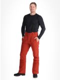 Vignette Protest, PRTMIKADO pantalon de ski hommes Barn Red rouge 