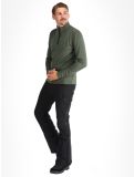 Vignette Protest, REWILL 1/4 zip top pull de ski hommes Thyme vert 