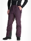 Vignette Rehall, Backbone-R pantalon de ski hommes Plum Perfect violet 