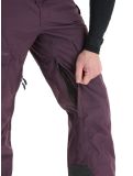 Vignette Rehall, Backbone-R pantalon de ski hommes Plum Perfect violet 