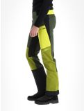 Vignette Rock Experience, Inuit Tech pantalon de ski en softshell hommes Kombu Green / Cardamom Seed / Sulphur vert 