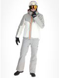 Vignette Spyder, Copper veste de ski hommes Vanilla Latte beige, gris 