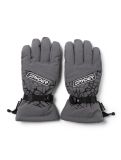 Vignette Spyder, Overweb GTX gants de ski hommes Polar gris 