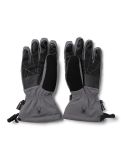 Vignette Spyder, Overweb GTX gants de ski hommes Polar gris 