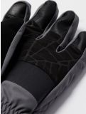 Vignette Spyder, Overweb GTX gants de ski hommes Polar gris 