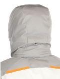 Vignette Spyder, Leader veste de ski hommes Concrete blanc, gris 