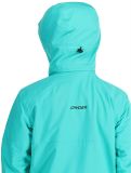 Vignette Spyder, Tripoint veste de ski hommes Teal Green vert 