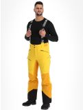 Vignette Tenson, Aerismo pantalon de ski hommes Spectra yellow jaune 