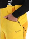 Vignette Tenson, Aerismo pantalon de ski hommes Spectra yellow jaune 