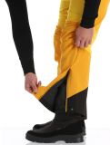 Vignette Tenson, Aerismo pantalon de ski hommes Spectra yellow jaune 