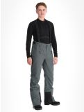 Vignette Tenson, Brendon Ski pantalon de ski hommes Grey Green gris 