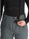 Vignette Tenson, Brendon Ski pantalon de ski hommes Grey Green gris 