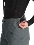 Vignette Tenson, Brendon Ski pantalon de ski hommes Grey Green gris 