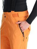 Vignette Tenson, Prime Pro pantalon de ski hommes Dark Orange orange 