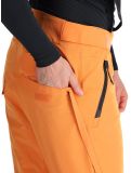 Vignette Tenson, Prime Pro pantalon de ski hommes Dark Orange orange 