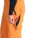 Vignette Tenson, Prime Pro pantalon de ski hommes Dark Orange orange 