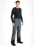 Vignette Tenson, Prime Pro pantalon de ski hommes Grey Green gris 