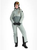 Vignette Whistler, Drizzle veste de ski femmes Slate Gray gris 