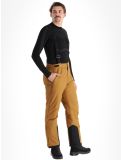 Vignette Whistler, Drizzle pantalon de ski hommes Rubber brun 