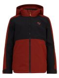 Vignette Ziener, Aluck Junior veste de ski enfants Woody Brown brun, noir 