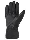 Vignette Cairn, Lugano M C-Tex Pro gants de ski hommes Black Sanguine noir 