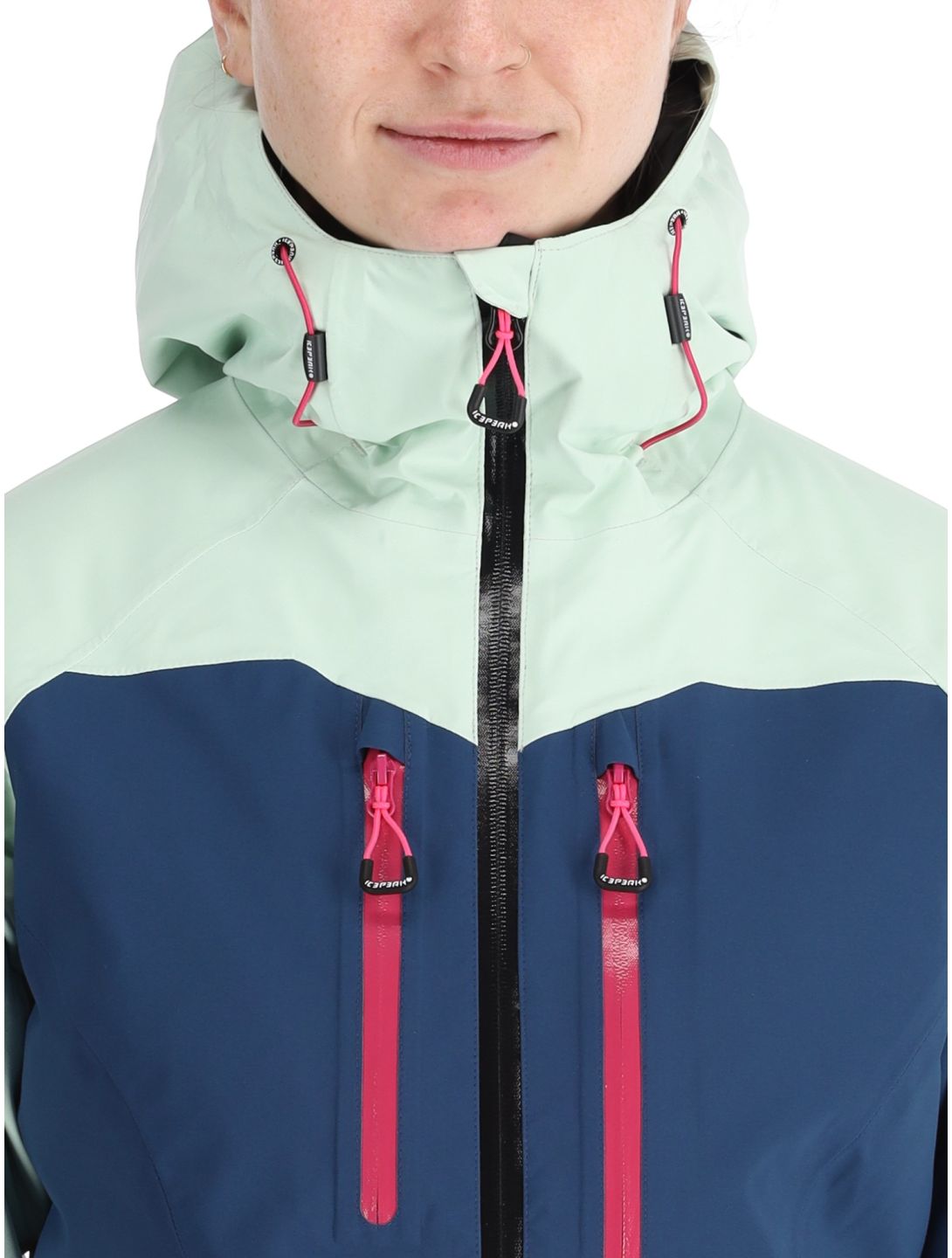 Icepeak, Datteln veste de ski à coque dure femmes Aloe vert 