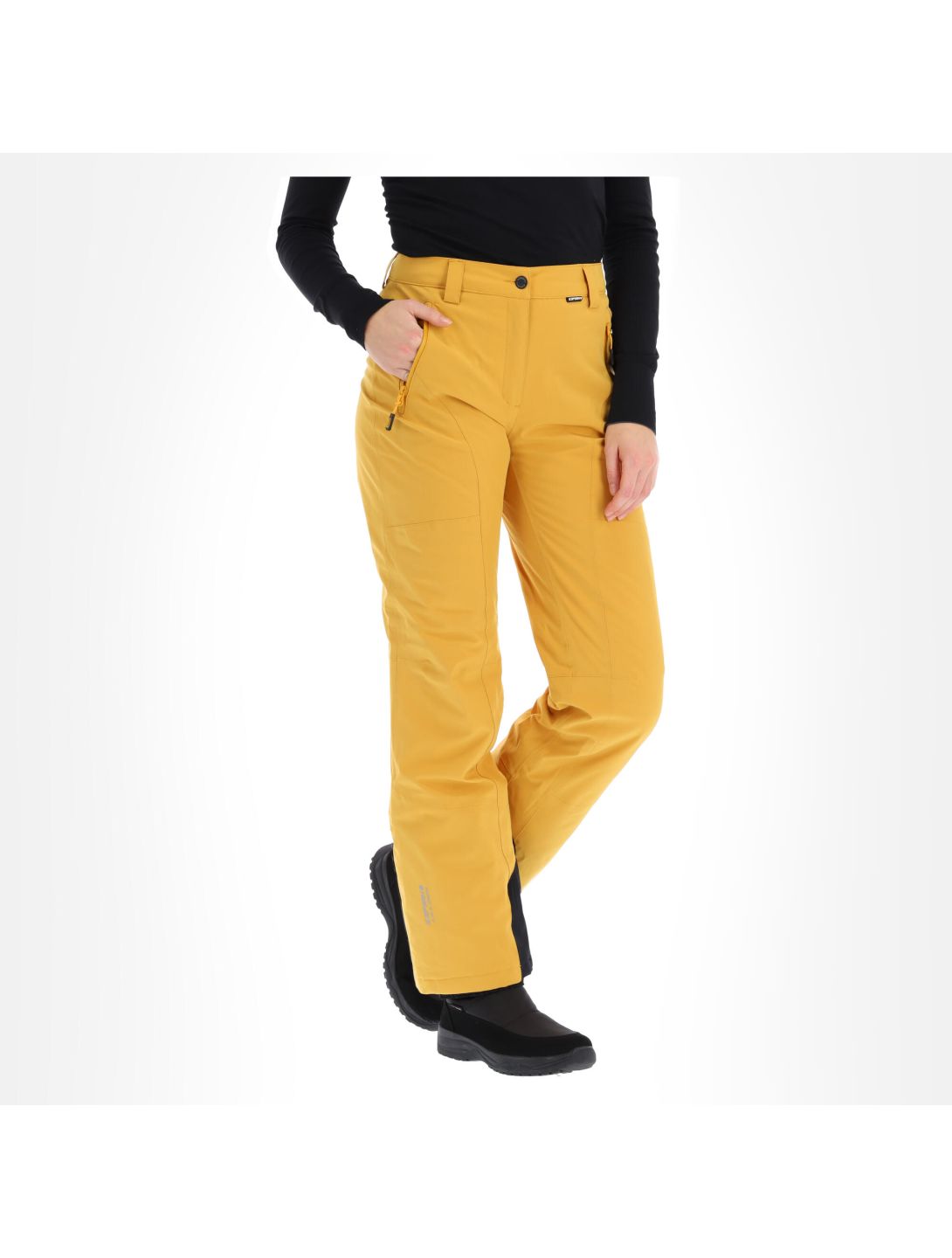 Icepeak, Freyung pantalon de ski slim fit femmes fudge brun 