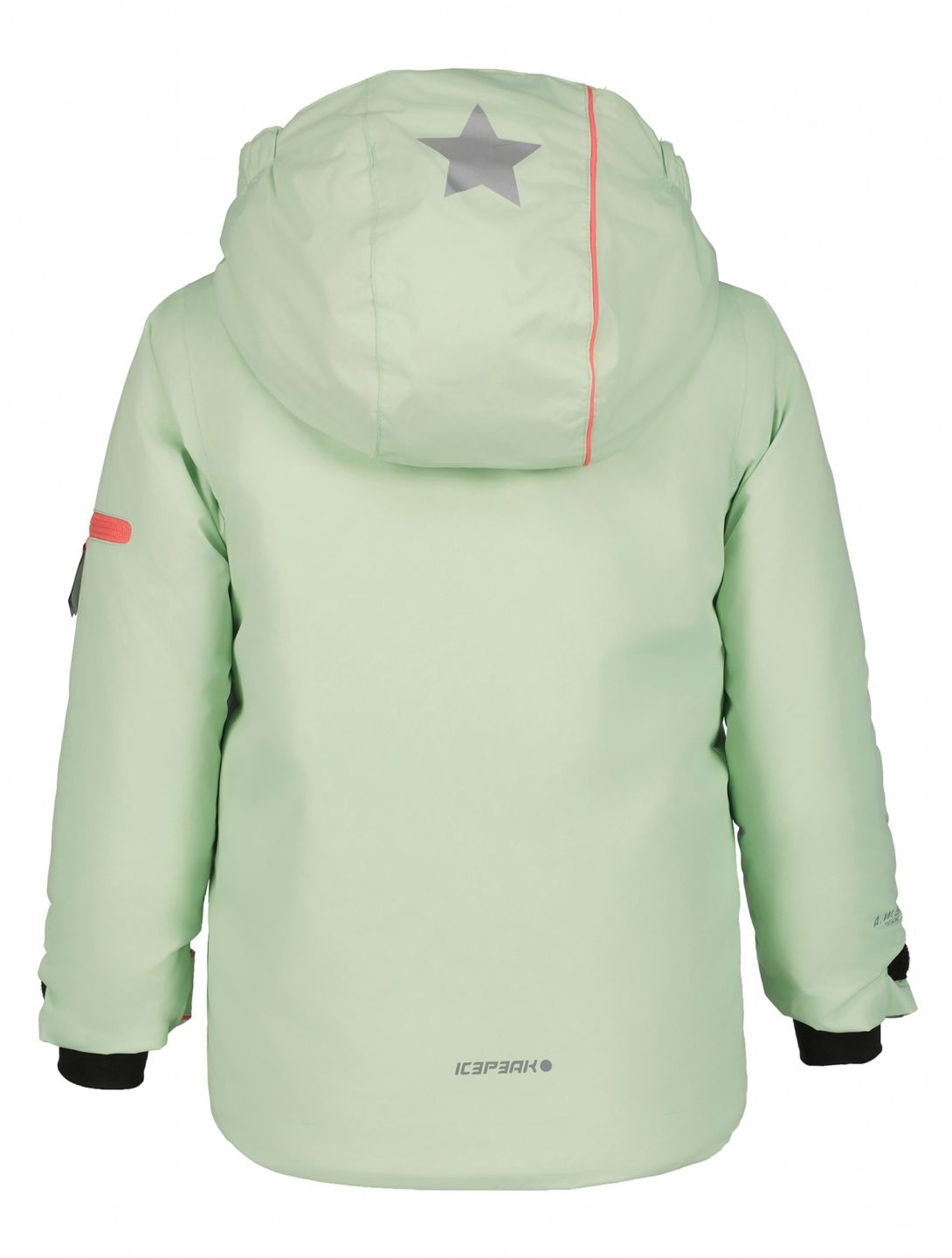 Icepeak, Jian KD veste de ski enfants Aloe vert 