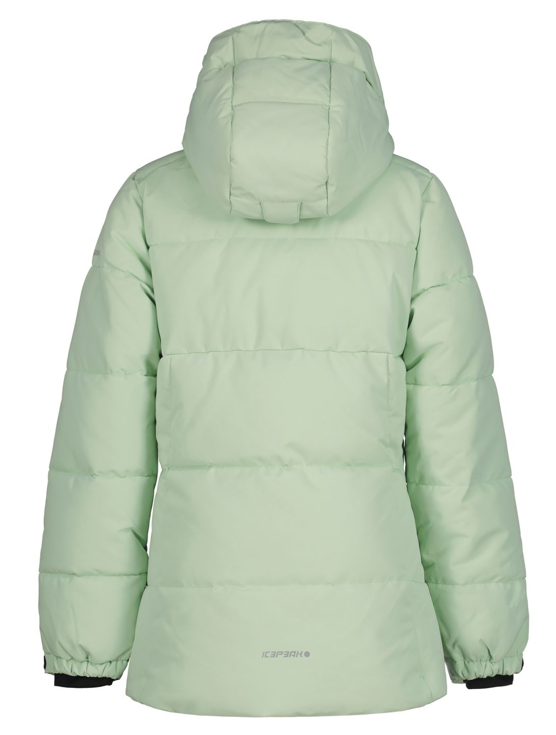 Icepeak, Loris JR veste de ski enfants Aloe vert 