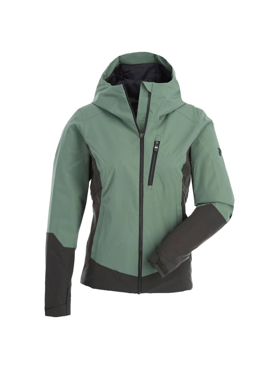 Peak Performance, Scoot veste de ski slim fit femmes fells view vert 