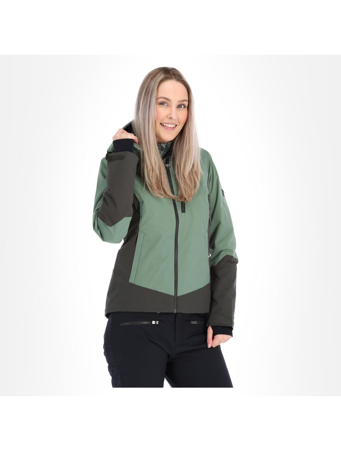 Peak Performance, Scoot veste de ski slim fit femmes fells view vert 