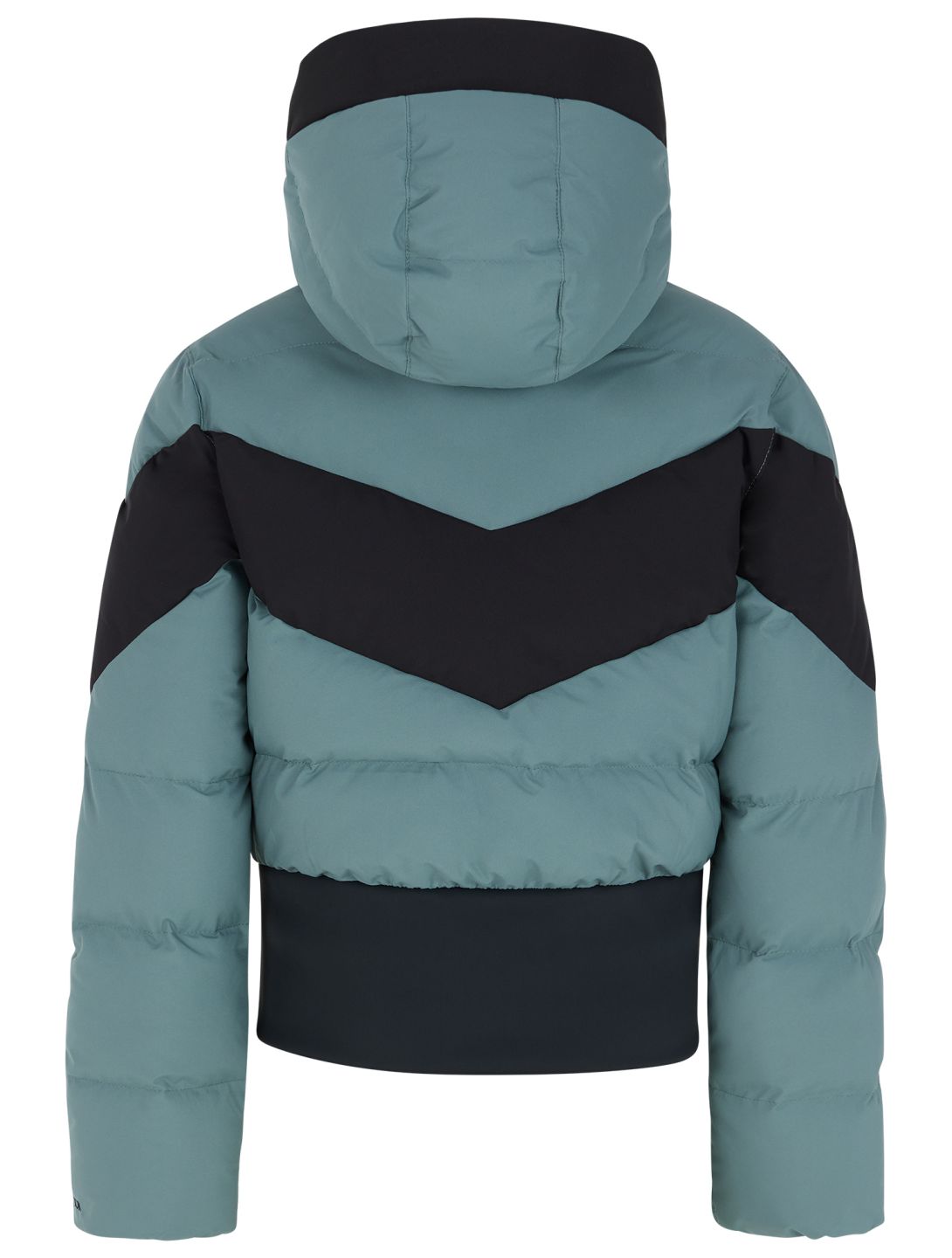 Protest, PRTMILOU JR veste de ski enfants Evergreen noir, vert 