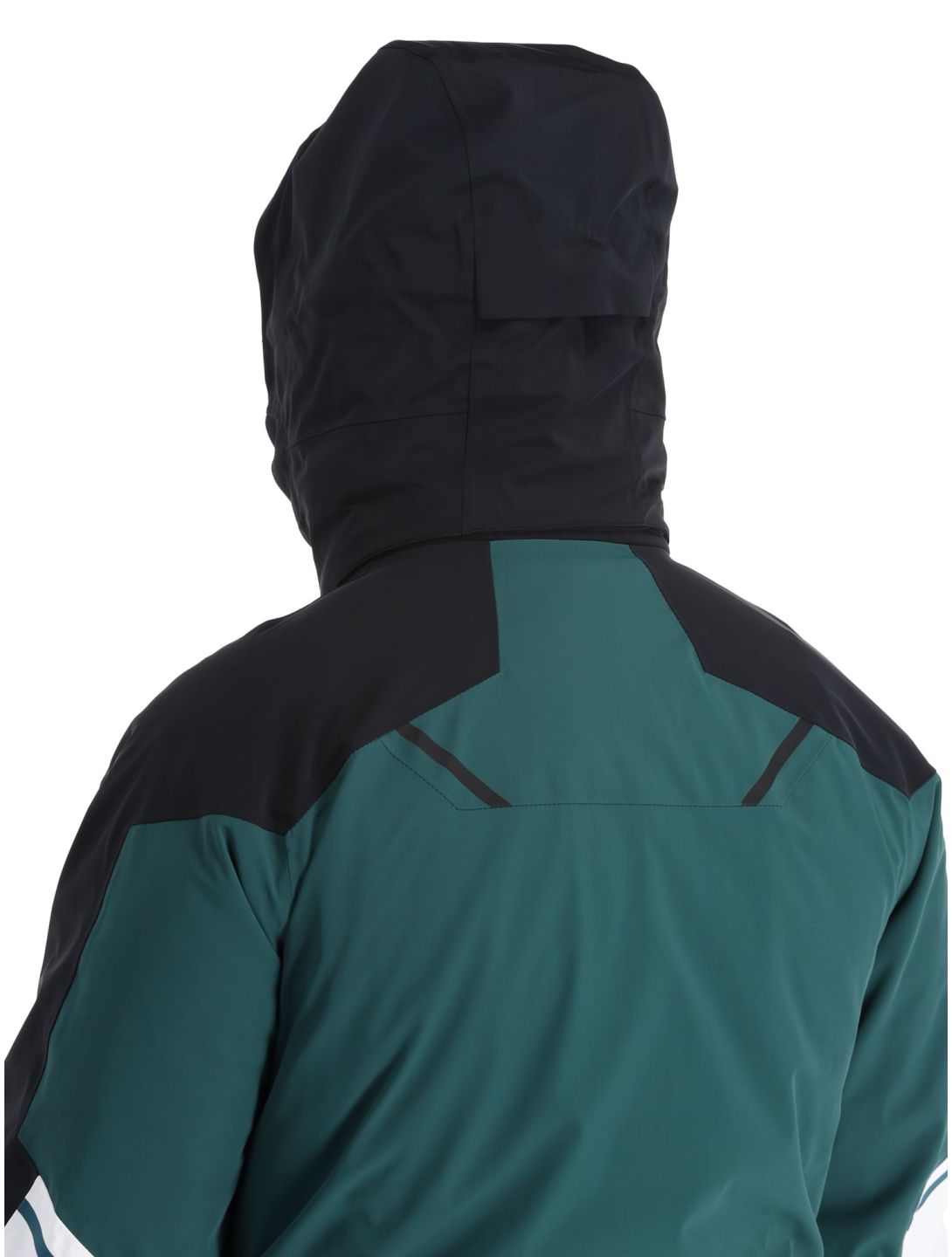 Spyder, Vanqysh Gtx veste de ski hommes Cypress Green vert 