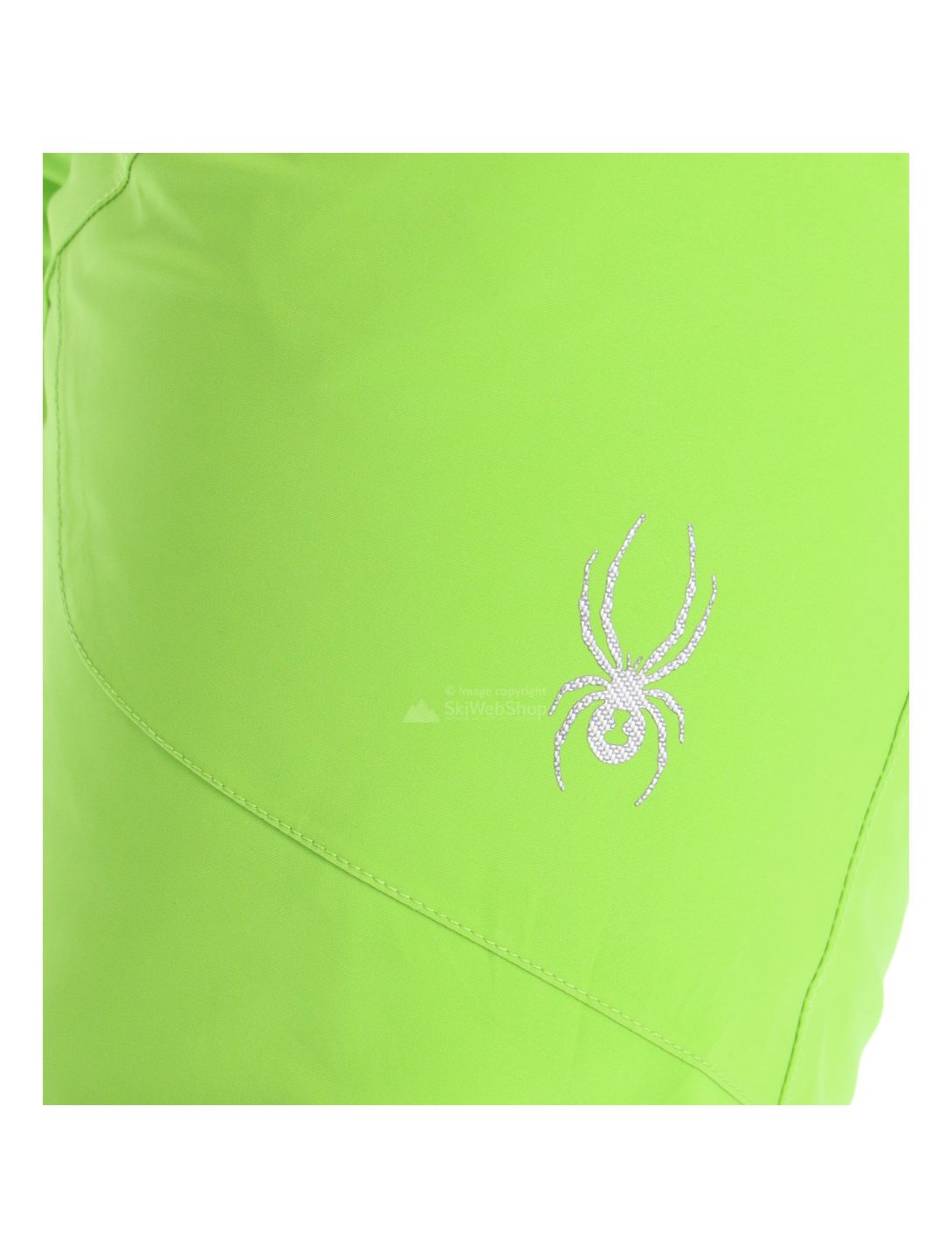 Spyder Propulsion Pants Green